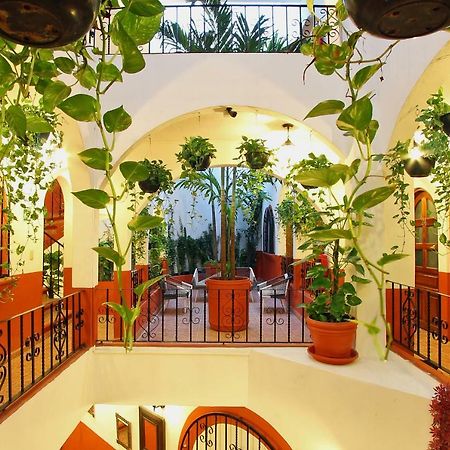 Alma Y Mar Apart Hotel 5Th Av Playa del Carmen Exterior photo