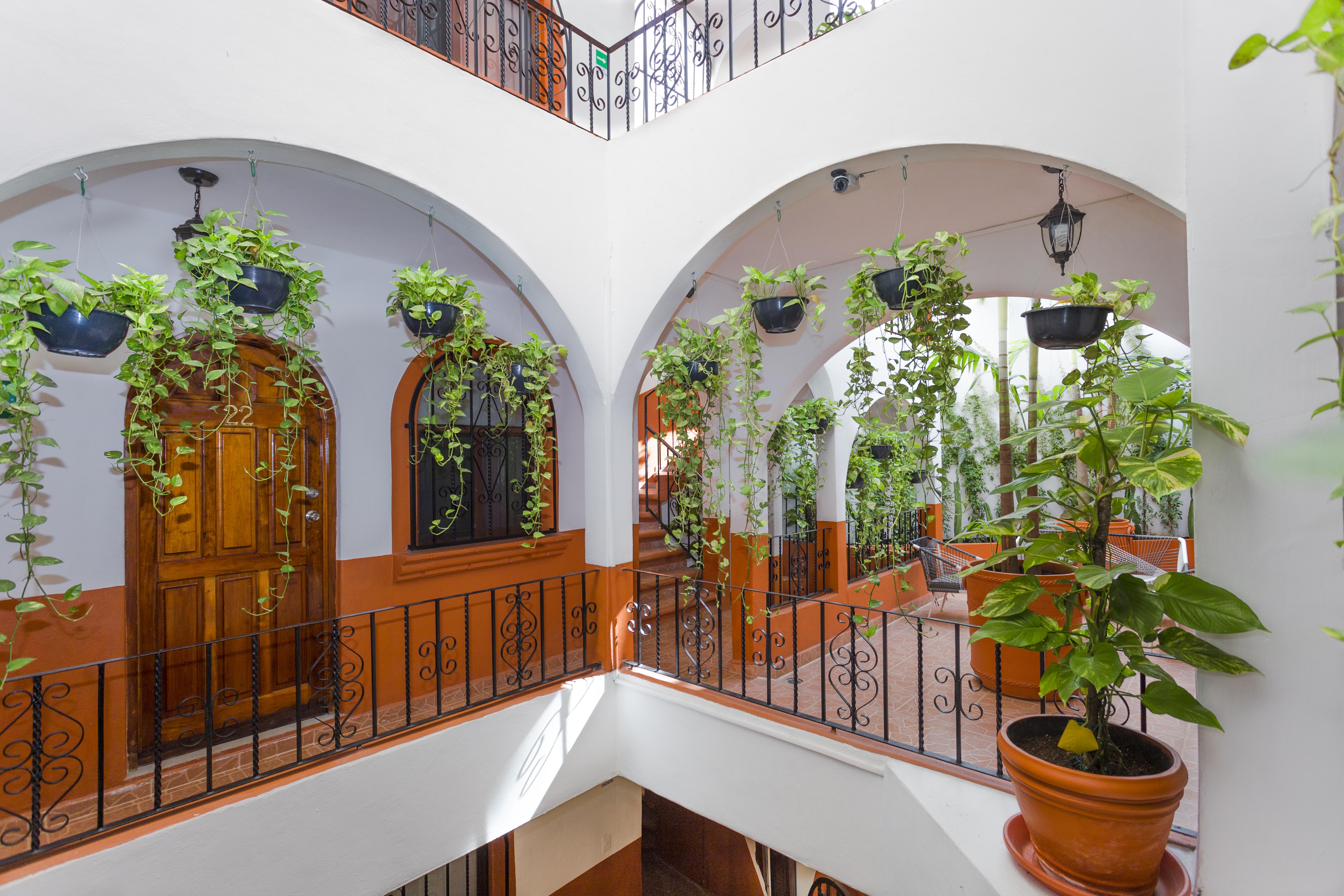 Alma Y Mar Apart Hotel 5Th Av Playa del Carmen Exterior photo